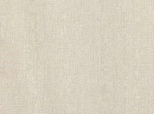 Niku  Oyster W917-01